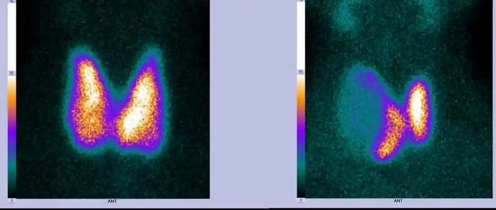 1732087823625839.png